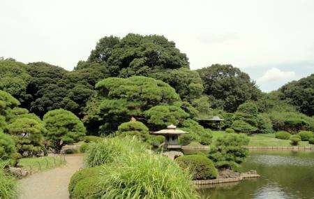 Shinjuku Gyoen National Garden Image